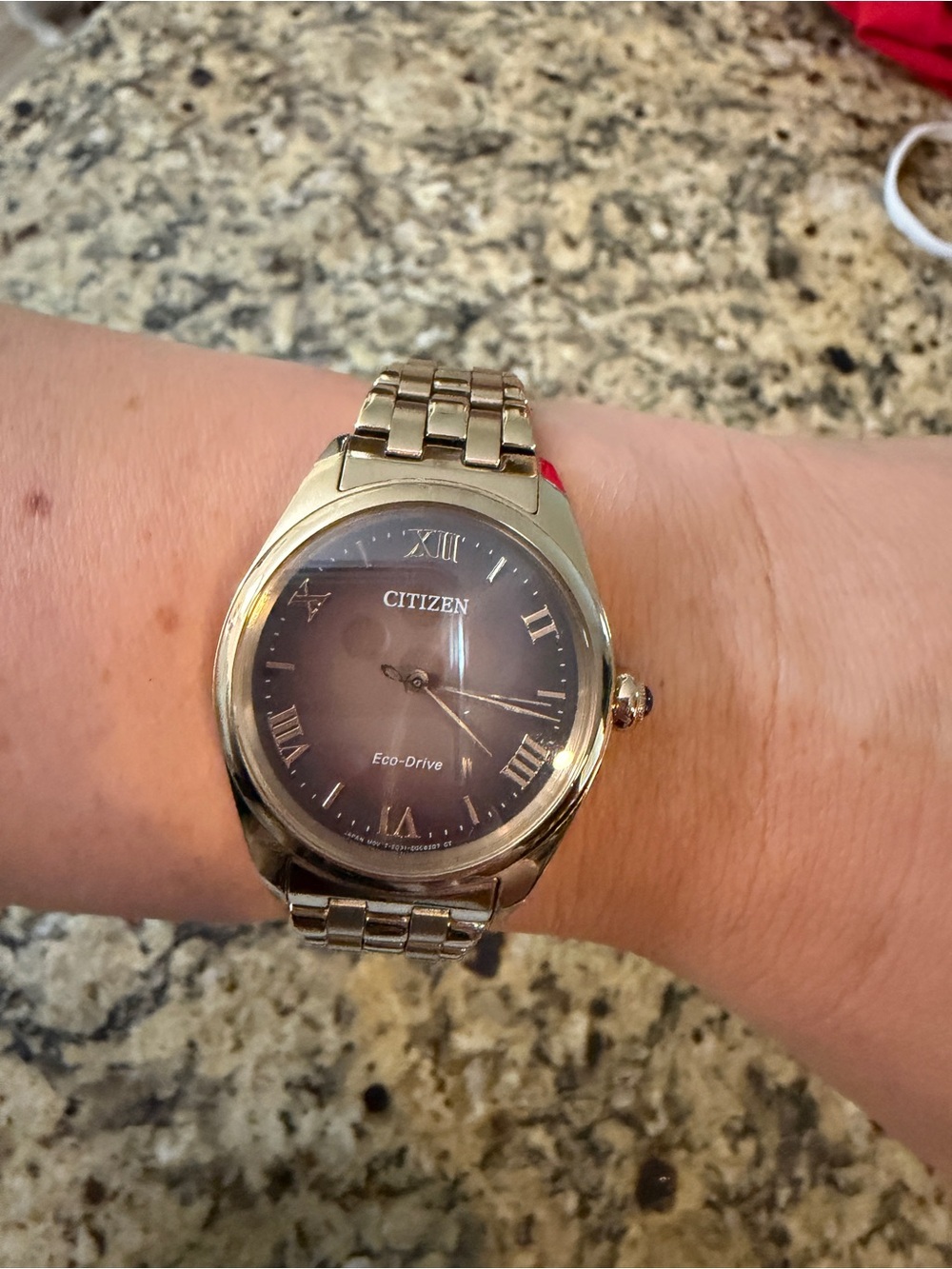 Citizen Silver Bracelet Watch with Black Dial